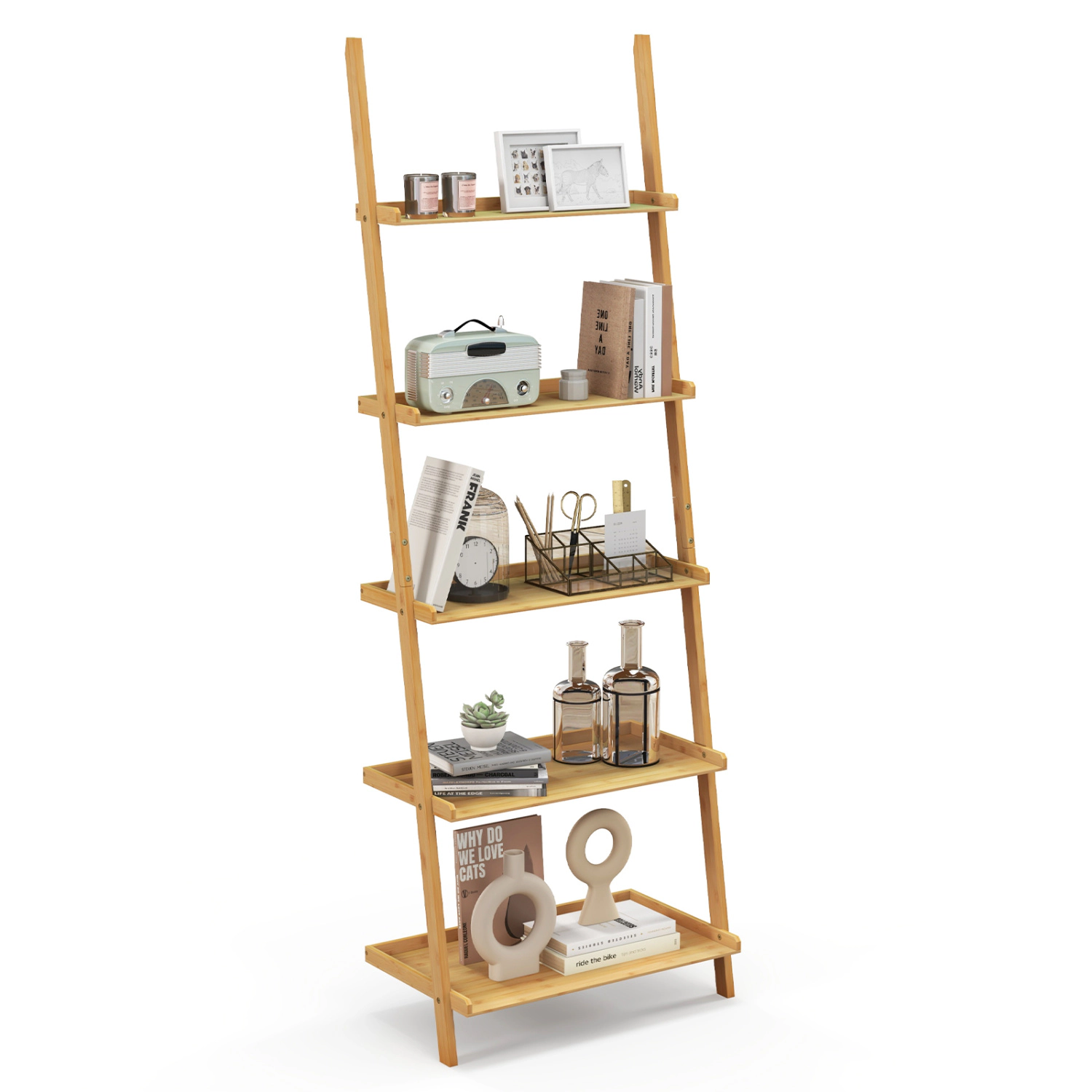 LJG 5-Tier Ladder Shelf Bamboo Bookshelf Wall-Leaning Storage Display Plant Stand