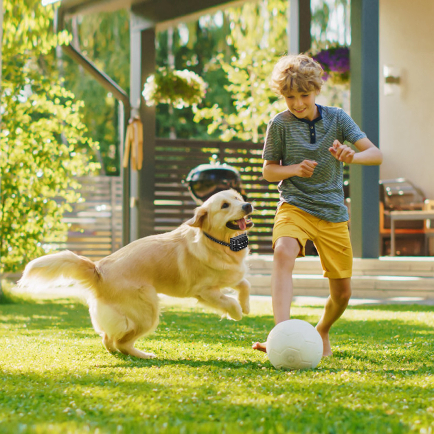 GBruno 2-in-1 Wireless Dog Fence With Training Collar