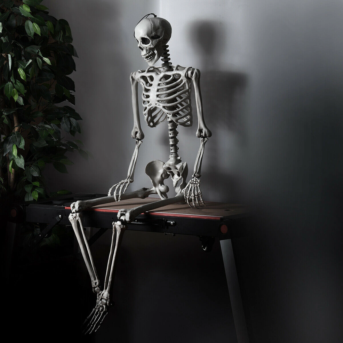 SUGIFT 5.4-ft Poseable Joints Hanging Rope Full Body Life Size Halloween Skeleton Prop Decoration 4-lb White