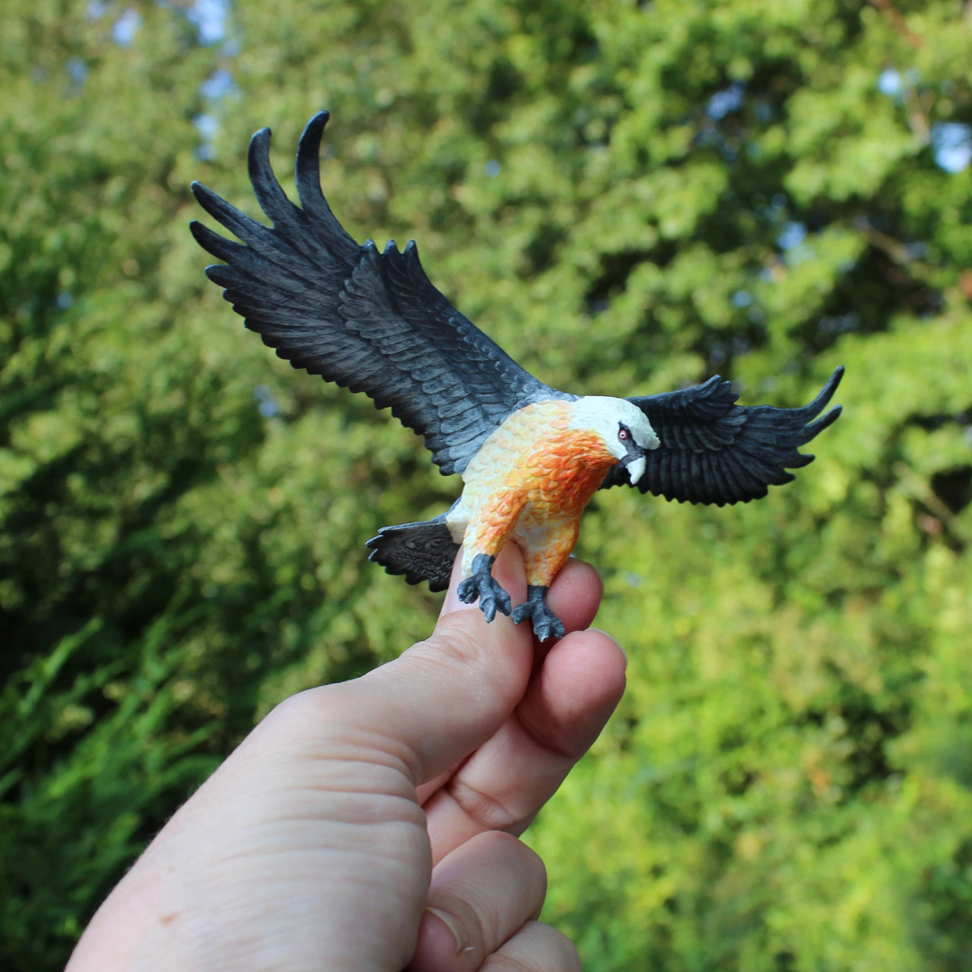 Safari Ltd. - Bearded Vulture Kids Toy Figure