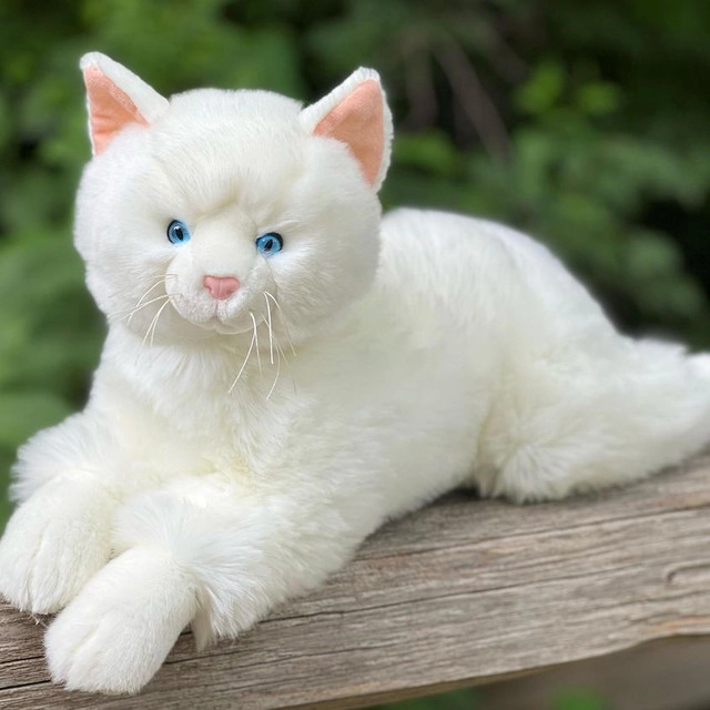 Auswella Plush® 19-Inch Bianca Cat Plush