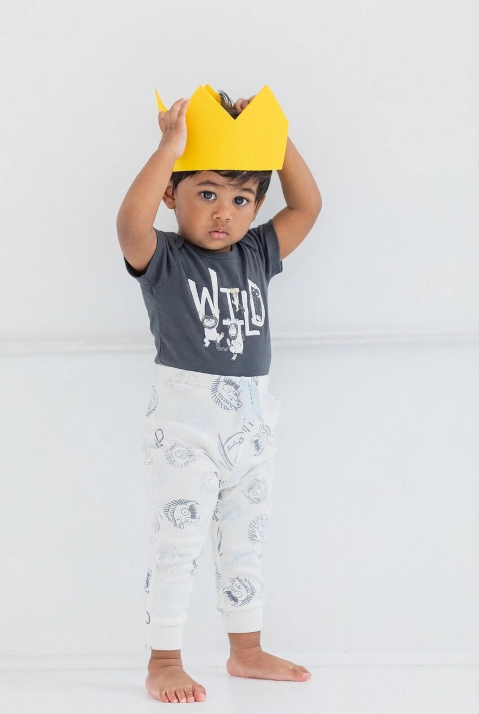 Warner Bros. Where the Wild Things Are Max Baby Birthday Bodysuit Pants and Hat Set