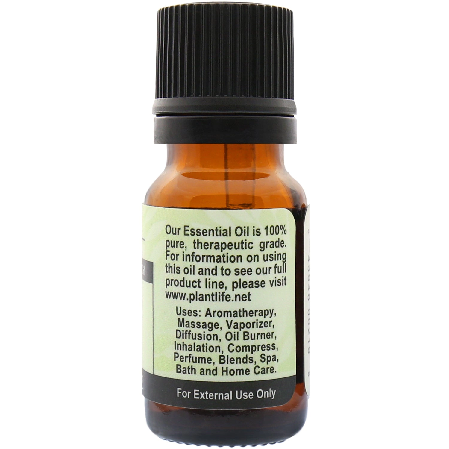 Plantlife Bay Leaf Essential Oil