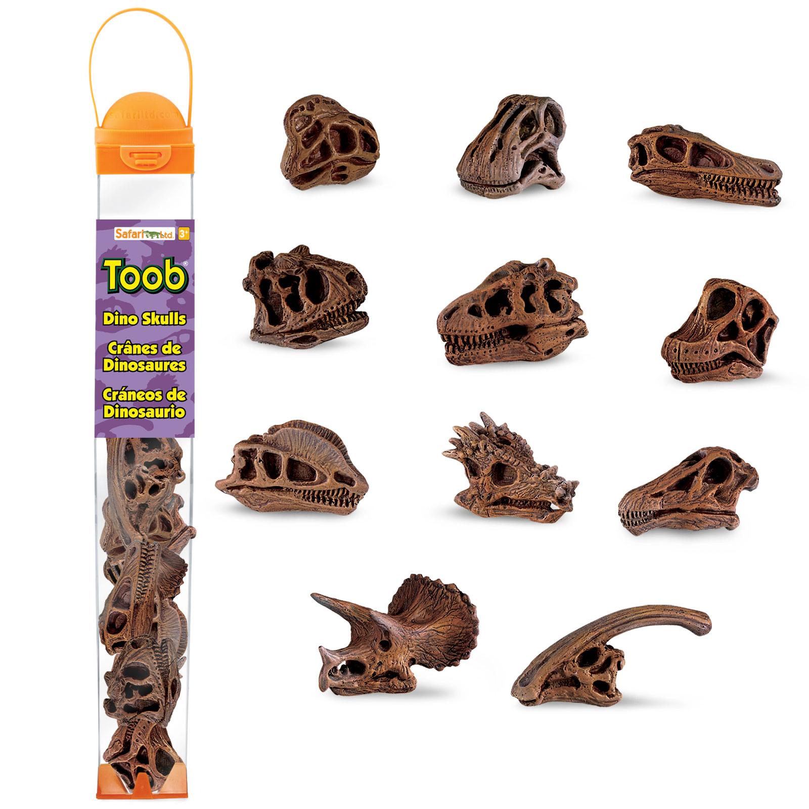 Safari Ltd. - Dinosaur Skulls TOOB - contains 11 Mini Figurines