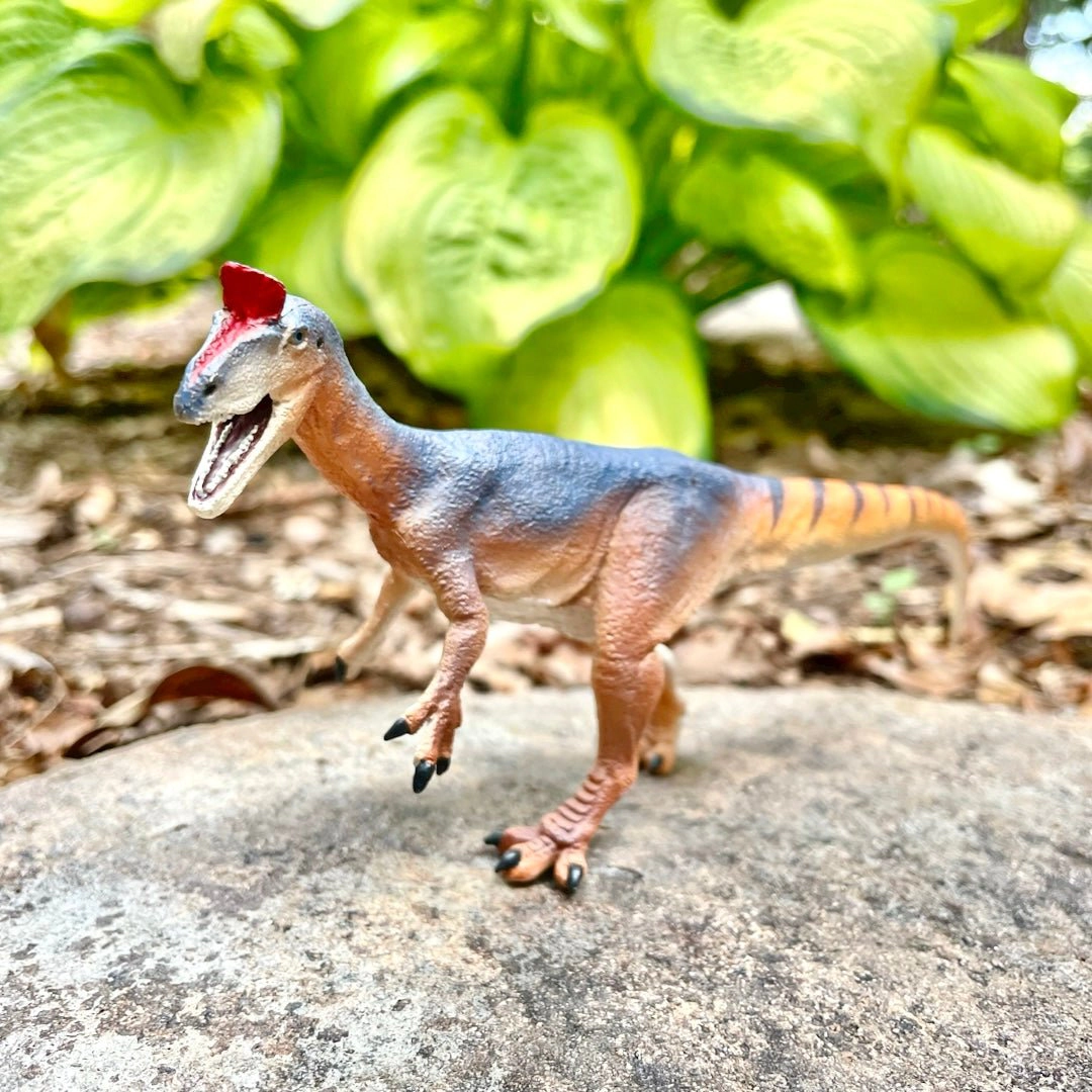 Safari Ltd. - Cryolophosaurus Kids Prehistoric/Dinosaur Toy Figure