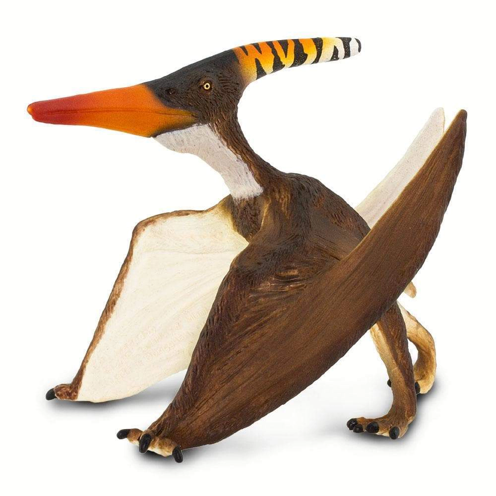 Safari Ltd. - Pteranodon Kids Prehistoric/Dinosaur Toy Figure