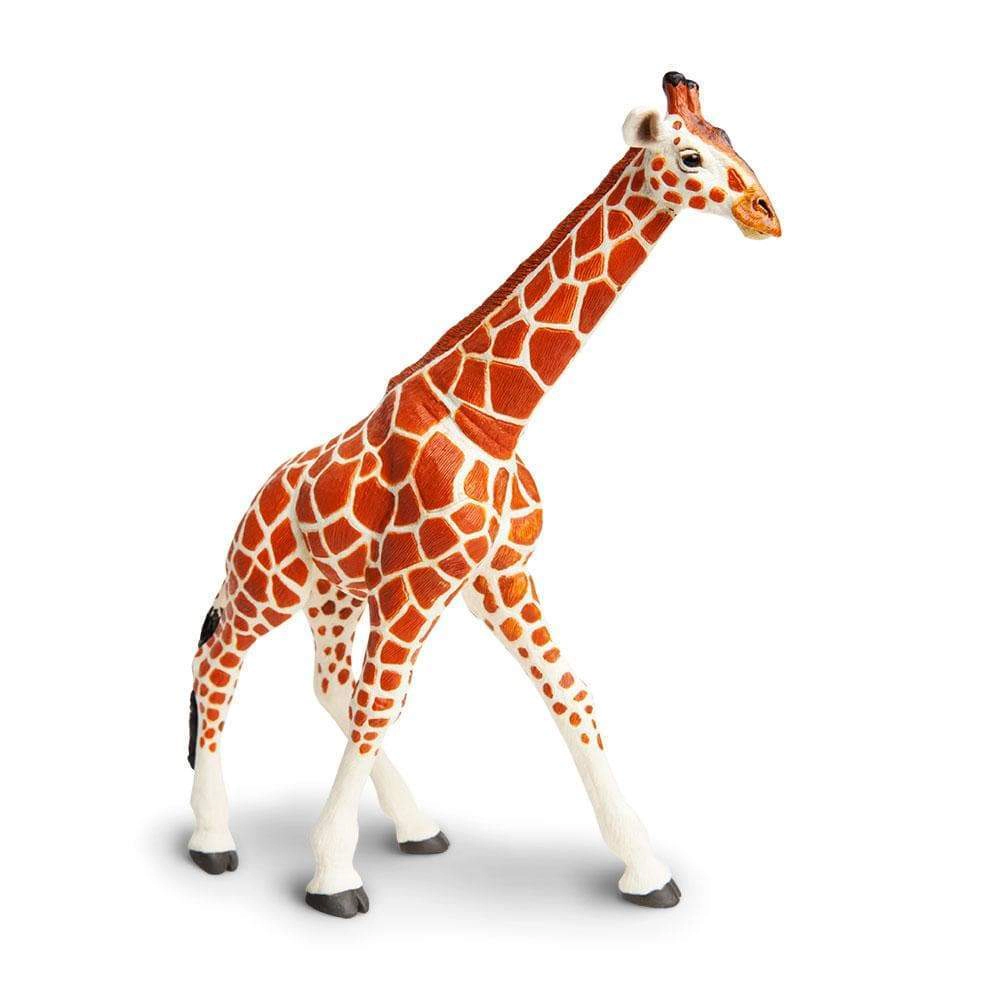 Safari Ltd. - Reticulated Giraffe Kids Toy Figure