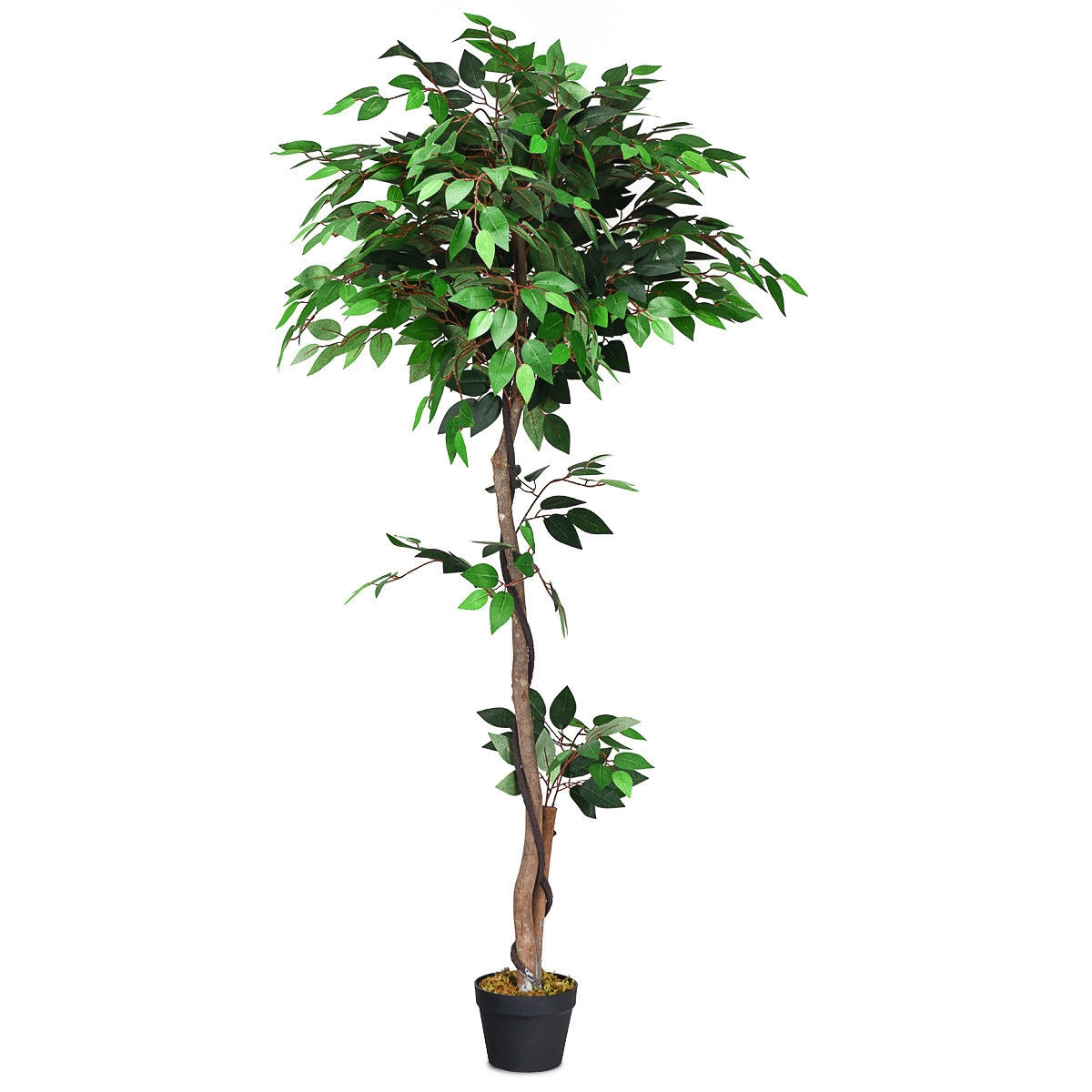 Slickblue Artificial Ficus Floor Plant Tree 5.5 Ft Faux Indoor Office Reception Decor Accent