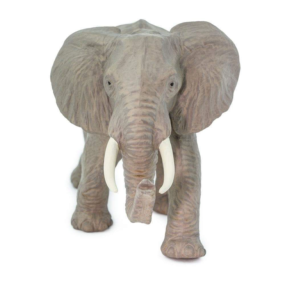 Safari Ltd. - African Elephant Kids Toy Figure
