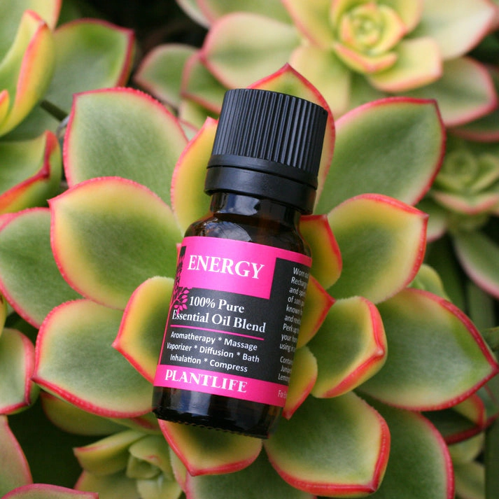Plantlife Energy Essential Oil Blend