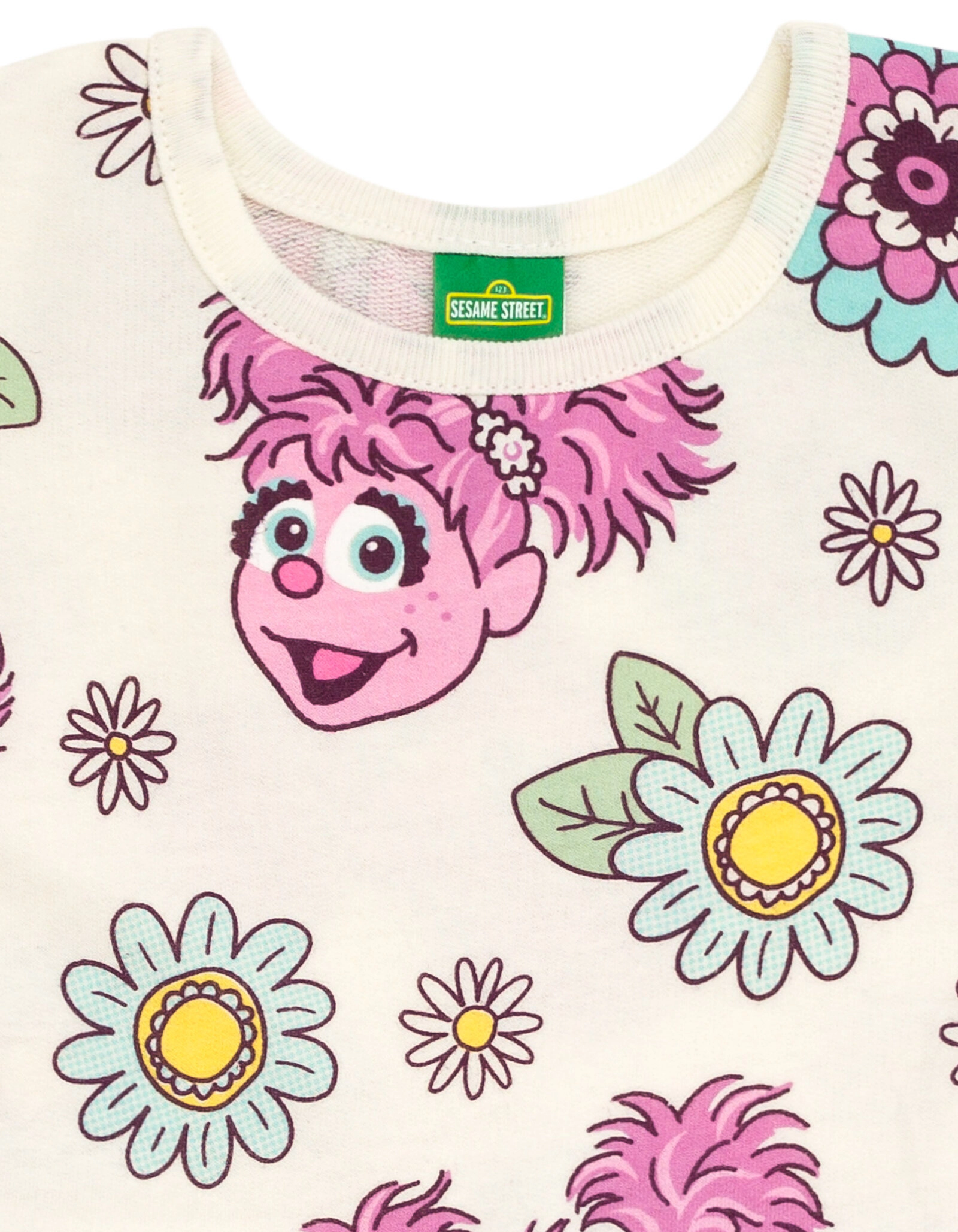 Sesame Street Girls' 2-Piece Skater Dress and Scrunchie Set