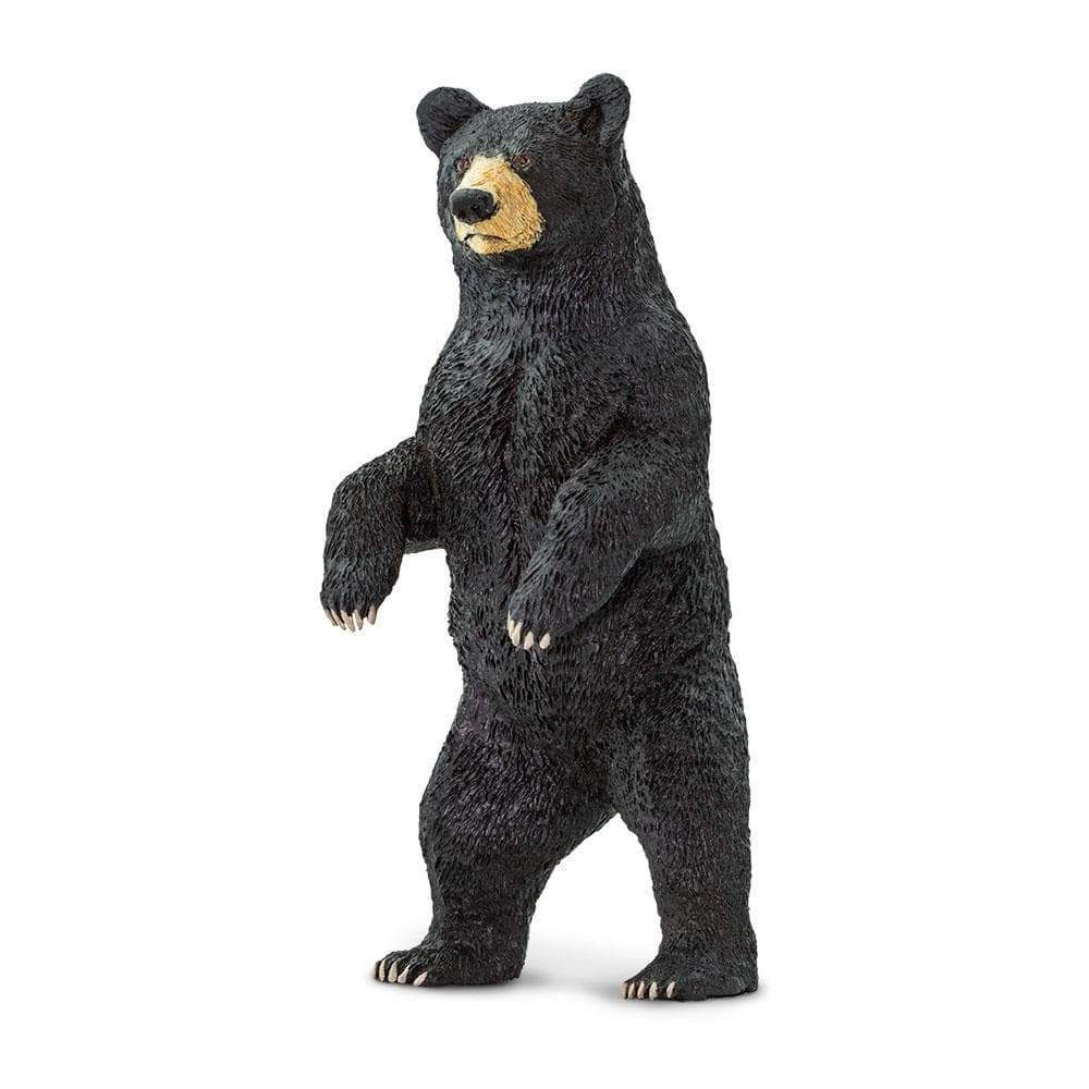 Safari Ltd. - Standing Black Bear Kids Toy Figure