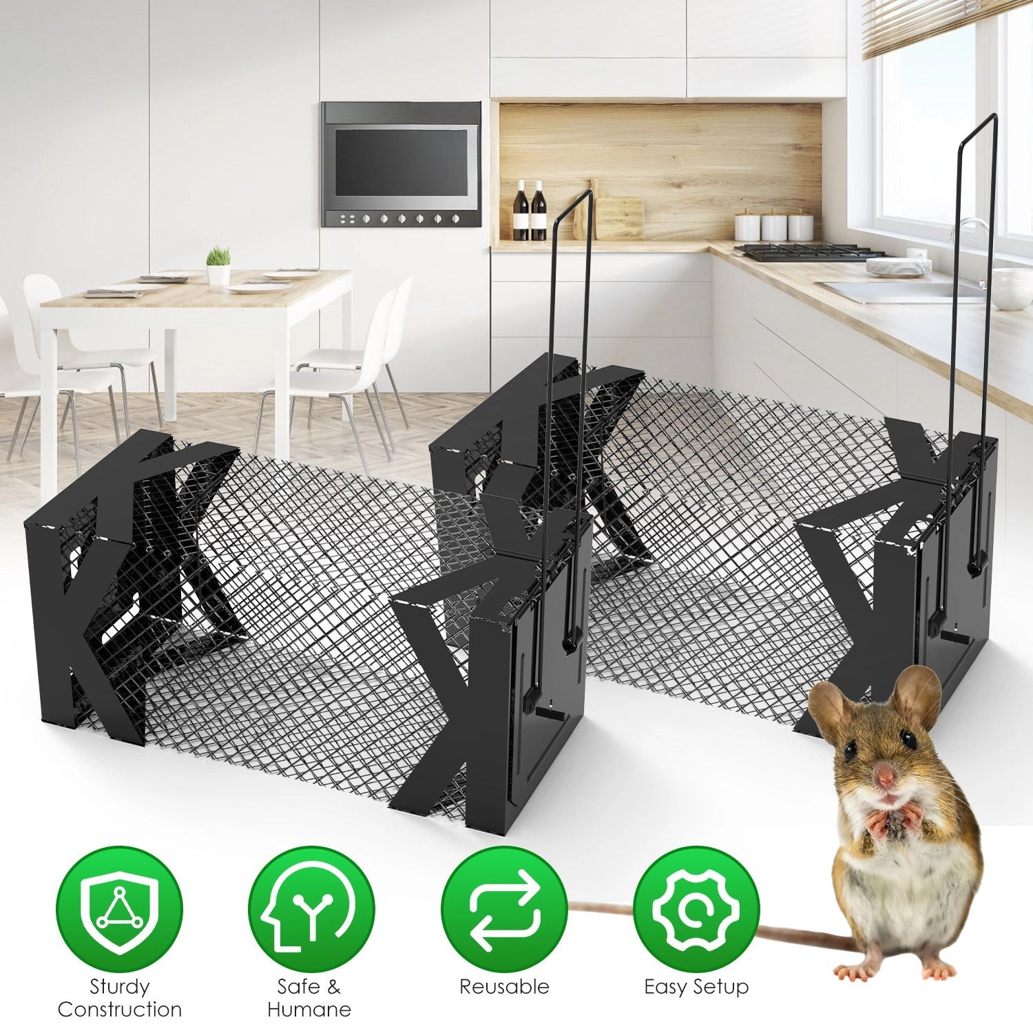 GBruno 2-Pc Live Catch Mouse Trap Cage