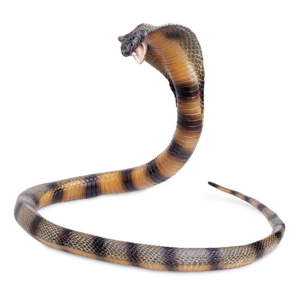 Safari Ltd. - Cobra Kids Toy Figure
