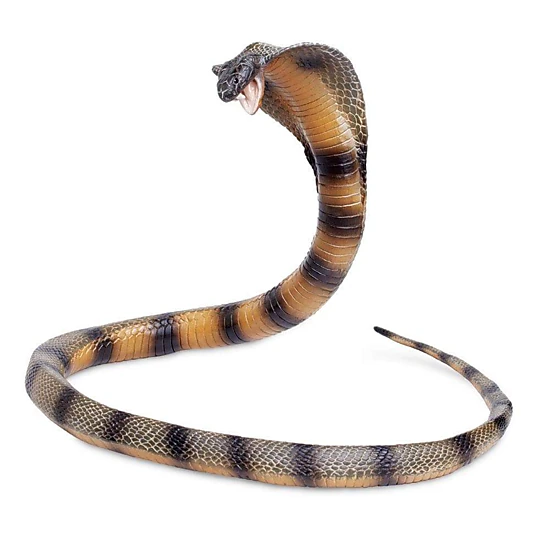 Safari Ltd. - Cobra Kids Toy Figure