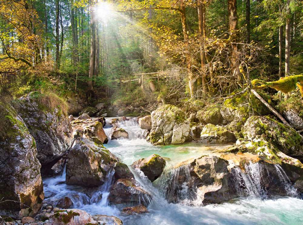 CASTORLAND 2000 Piece Jigsaw Puzzles, The forest stream, Mountain stream, Nature, C-200382-2