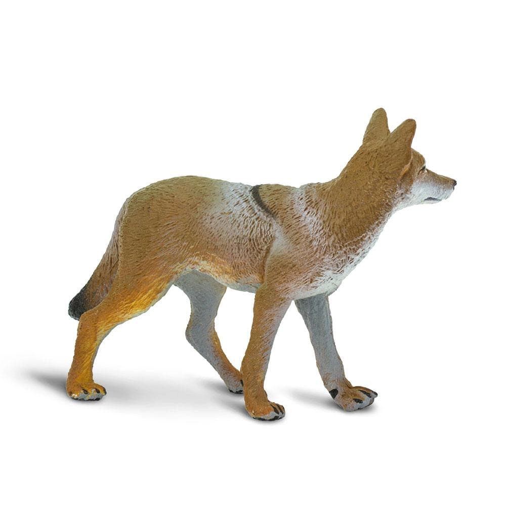 Safari Ltd. - Coyote Kids Toy Figure