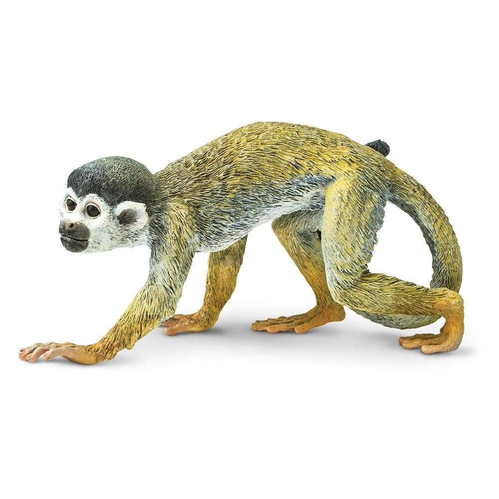Safari Ltd. - Squirrel Monkey Kids Toy Figure