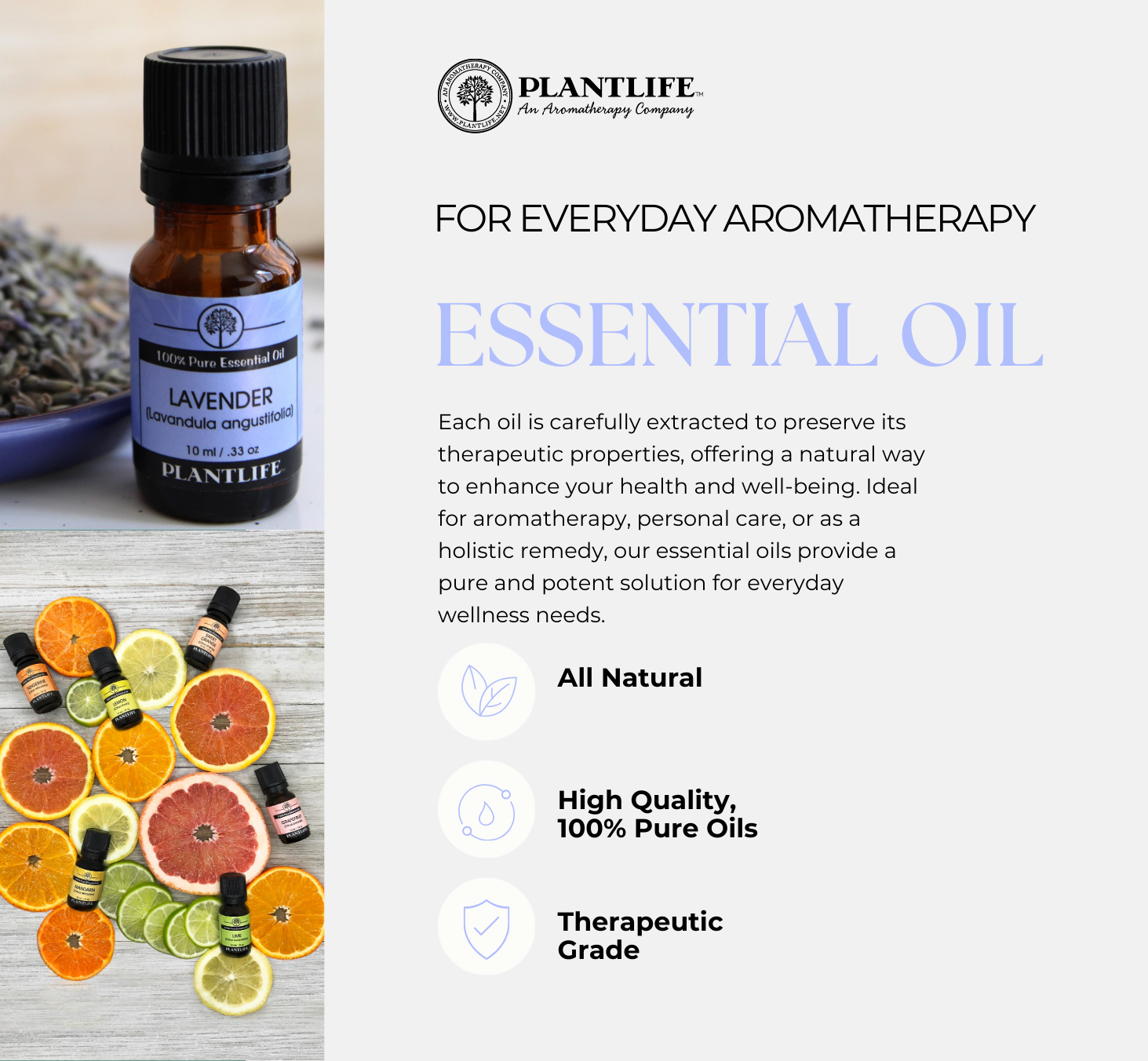 Plantlife Herbal Insect Essential Oil Blend