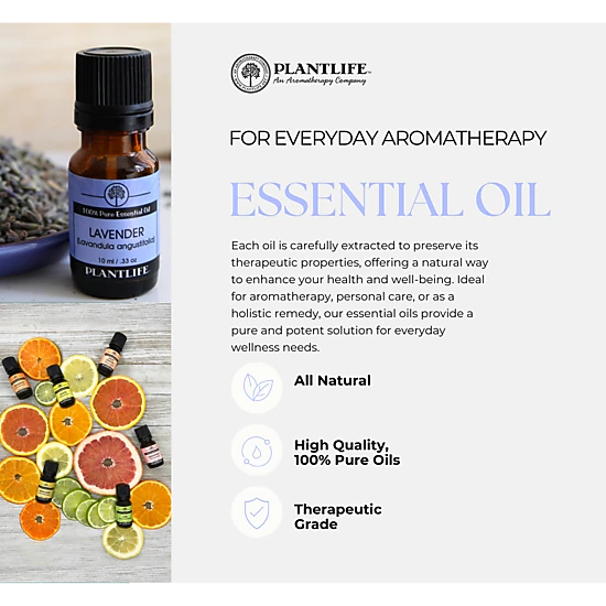 Plantlife Parsley Herb Essential Oil