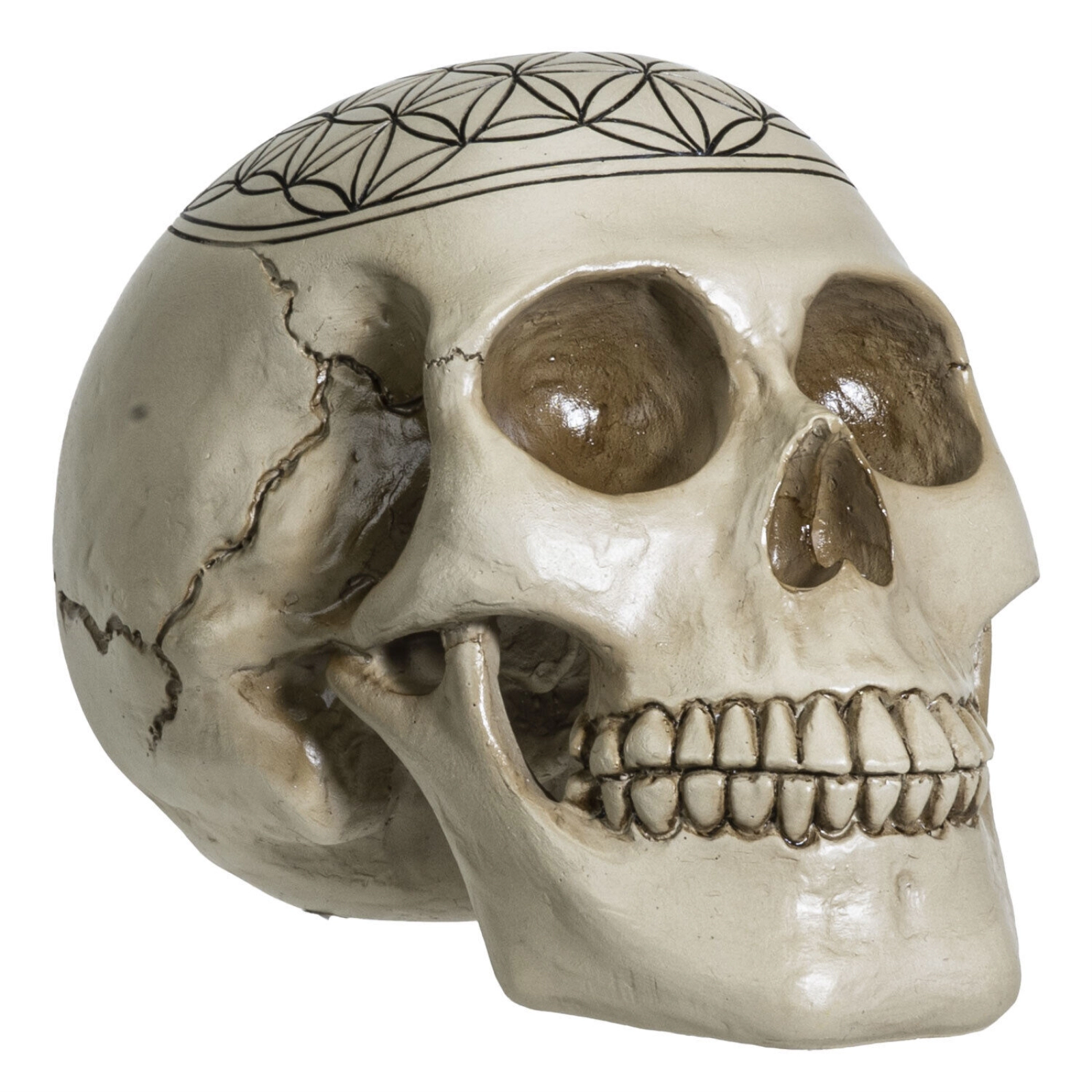 Pacific Giftware Sacred Geometry Flower of Life Human Skull Figurine 6.25 inches