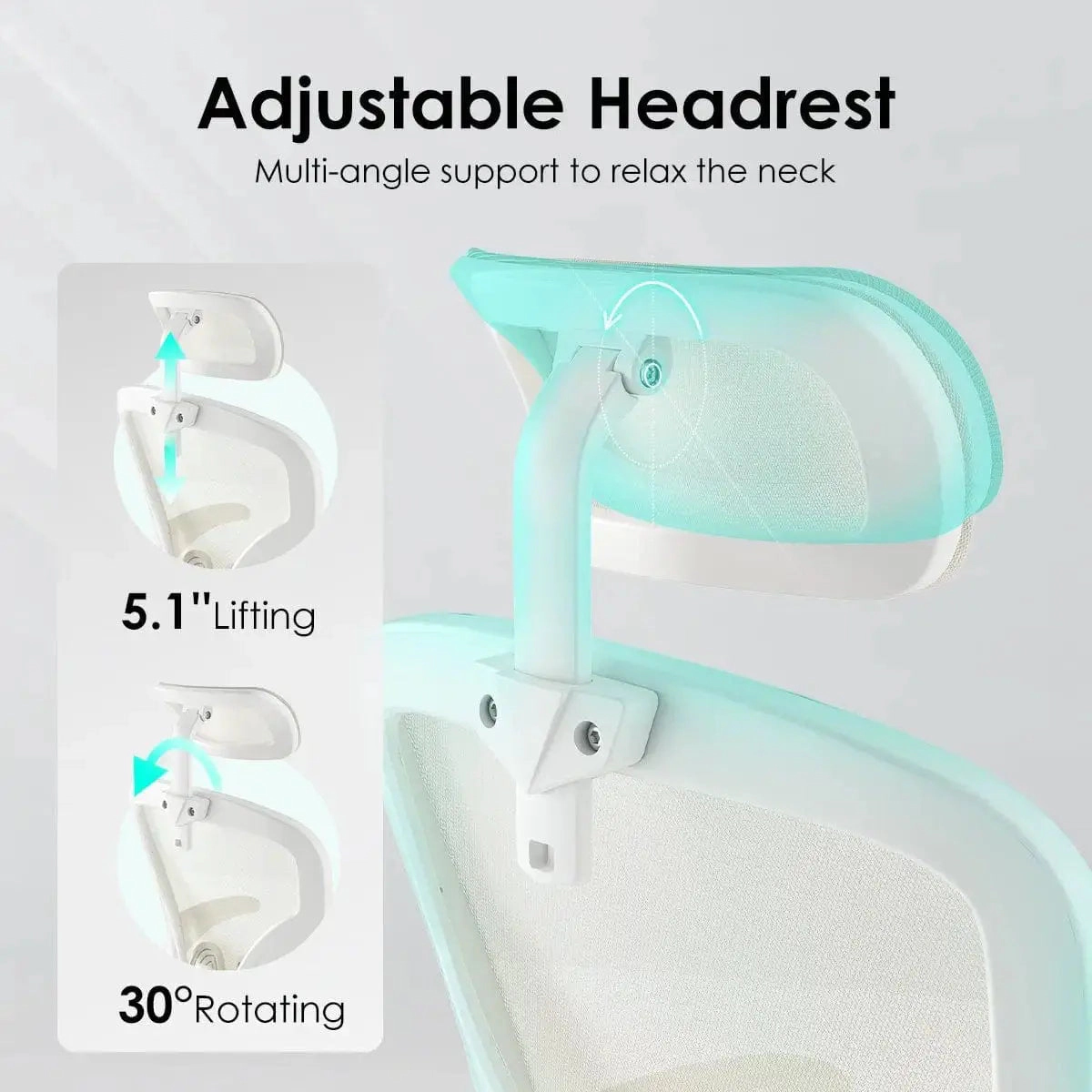 Platinum-Level Office Chairs Ergonomic Office Chair with Adjustable Lumbar Support and Headrest