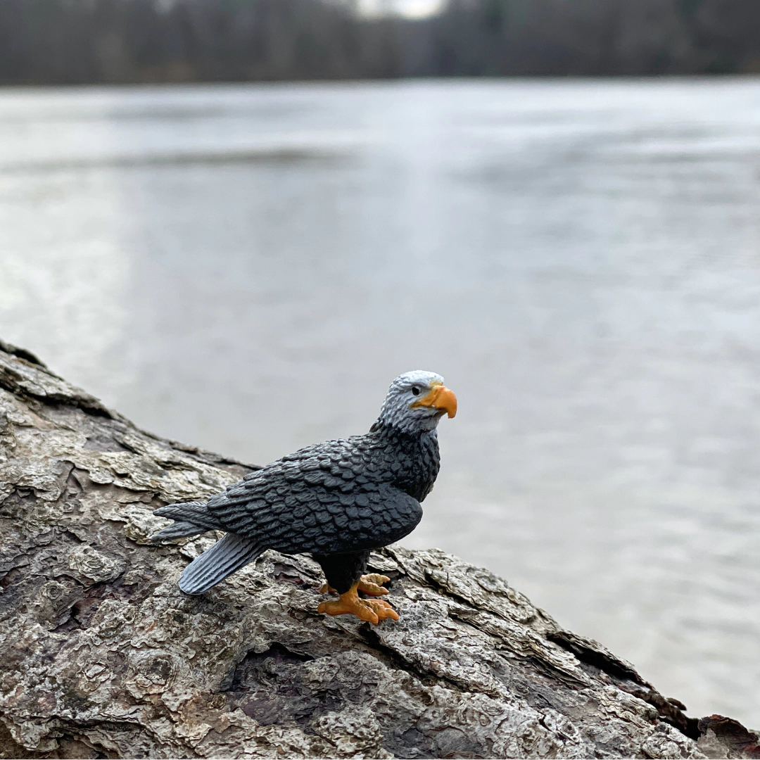 Safari Ltd. - River Animals TOOB - contains 10 Mini Figurines
