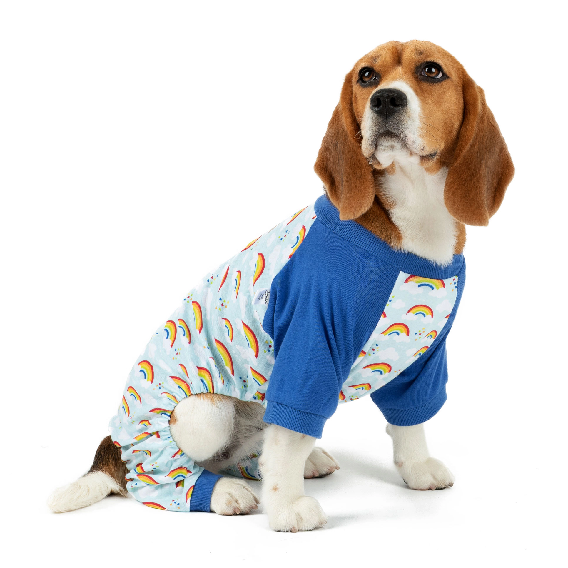 Leveret Dog Cotton Rainbow Pajamas