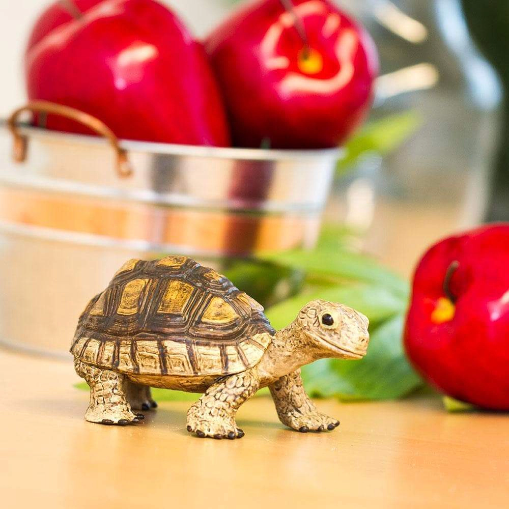 Safari Ltd. - Tortoise Kids Toy Figure