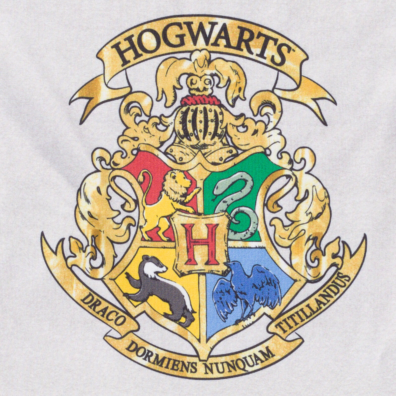 Harry Potter Girls' Cosplay T-Shirt and Leggings Set