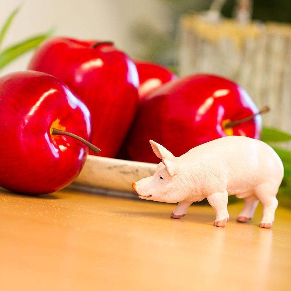 Safari Ltd. - Boar Kids Toy Figure