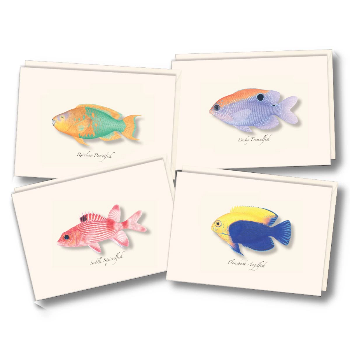 Earth Sky + Water Caribbean Fish Assortment Notecard Set - 8 Blank Cards with Envelopes