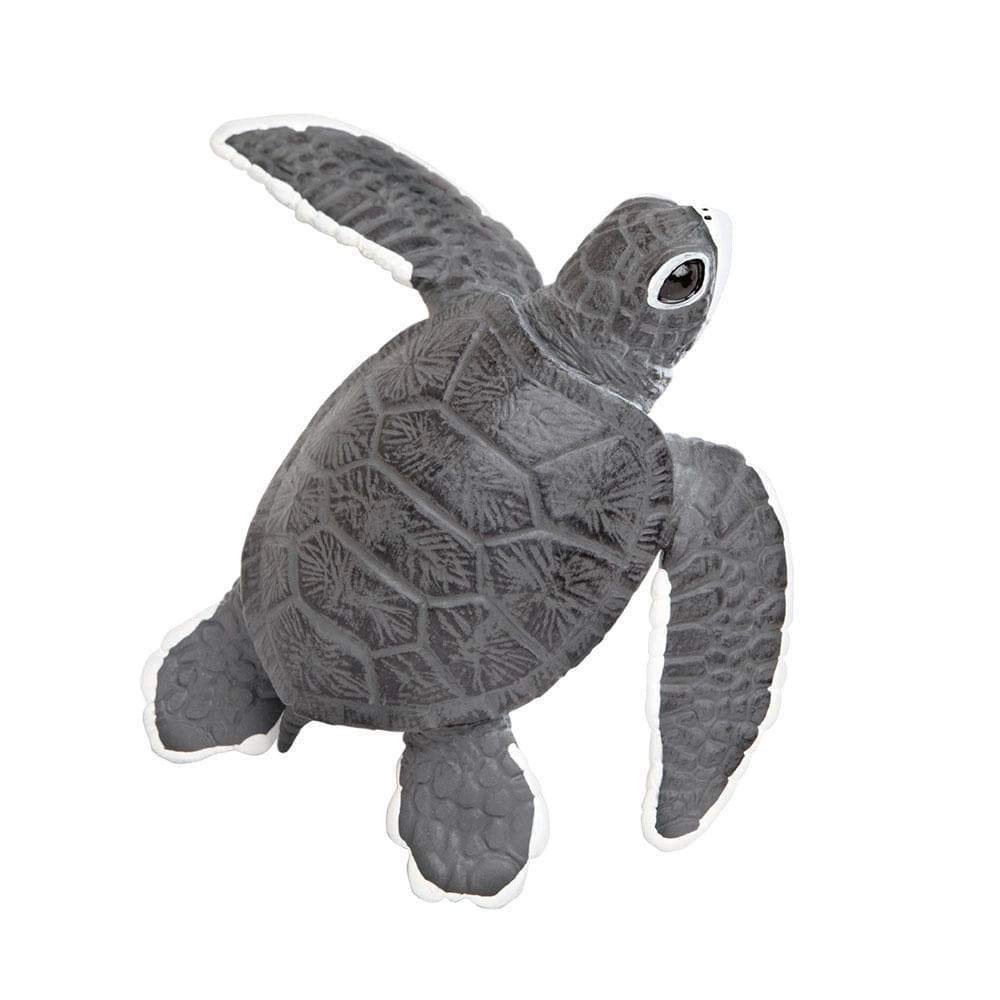 Safari Ltd. - Sea Turtle Baby Kids Toy Figure