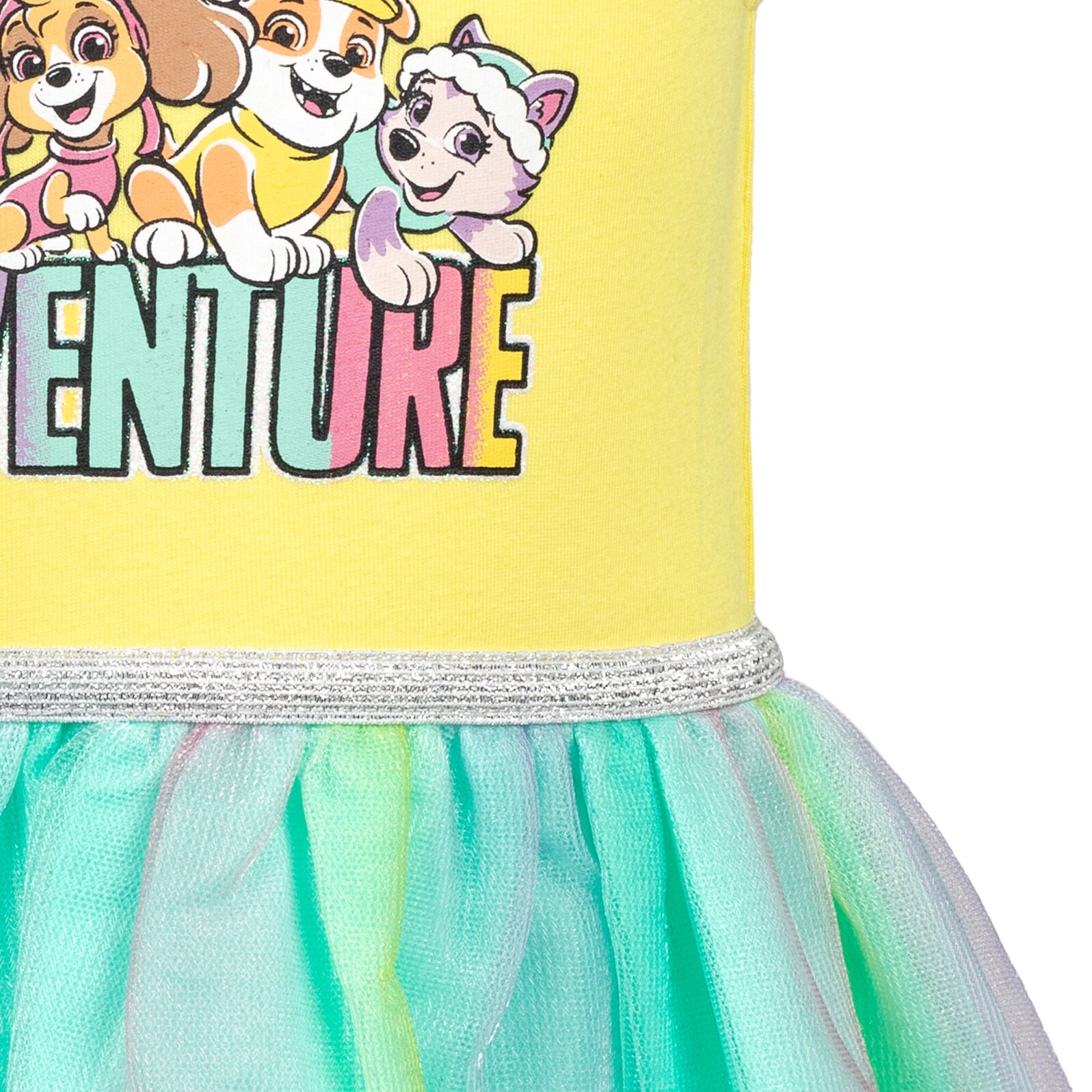 Paw Patrol Girls' Short Sleeve Tutu Dress
