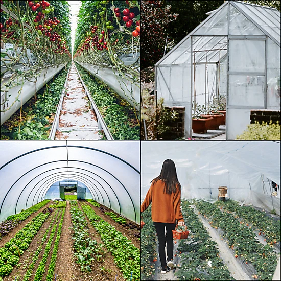 HONGGE Greenhouse Film Greenhouse Polyethylene Film Greenhouse Plastic Greenhouse Clear Plastic Film UV Resistant