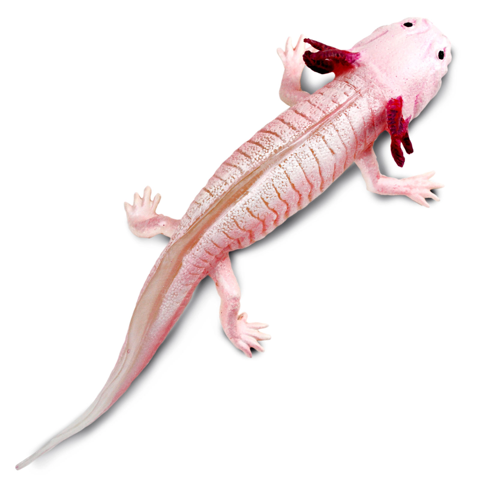 Safari Ltd. - Axolotl Kids Toy Figure