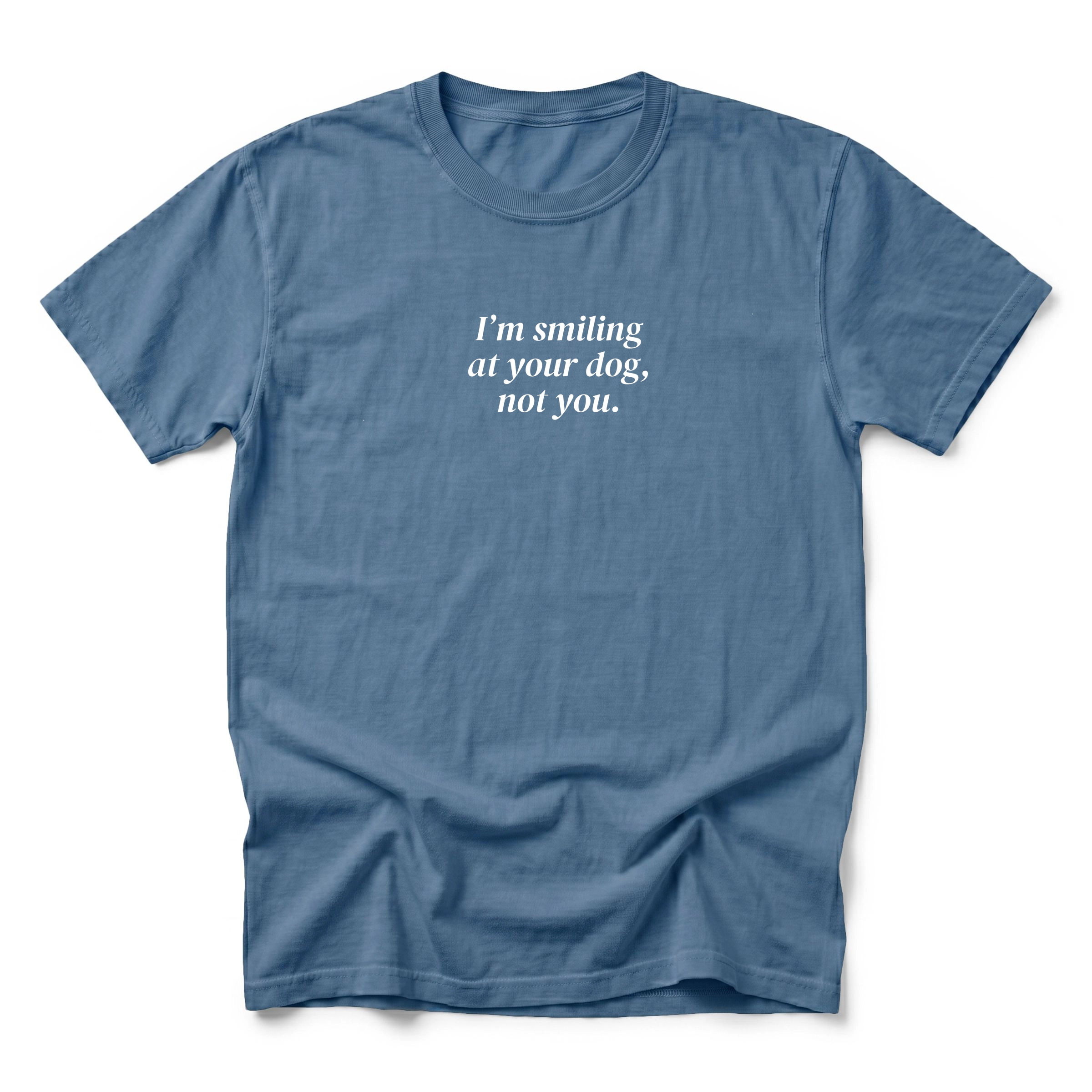 Simply Sage Market - I'm Smiling At Your Dog, Not You Men's Garment Dyed Graphic T-Shirt