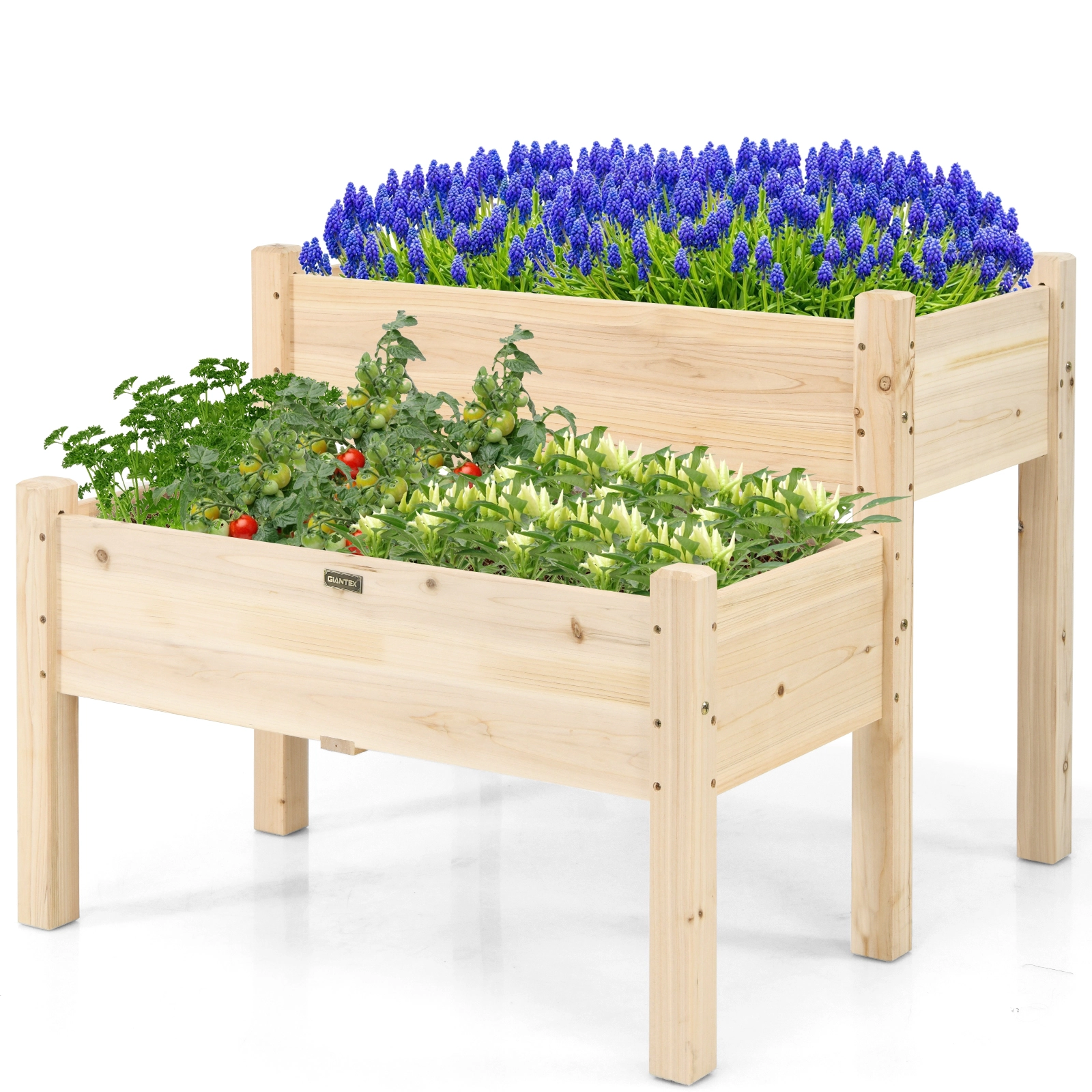 SUGIFT 2-Tier 34-in 110-lb Capacity Fir Wood Elevated Raised Garden Bed with Legs and Drainage Holes