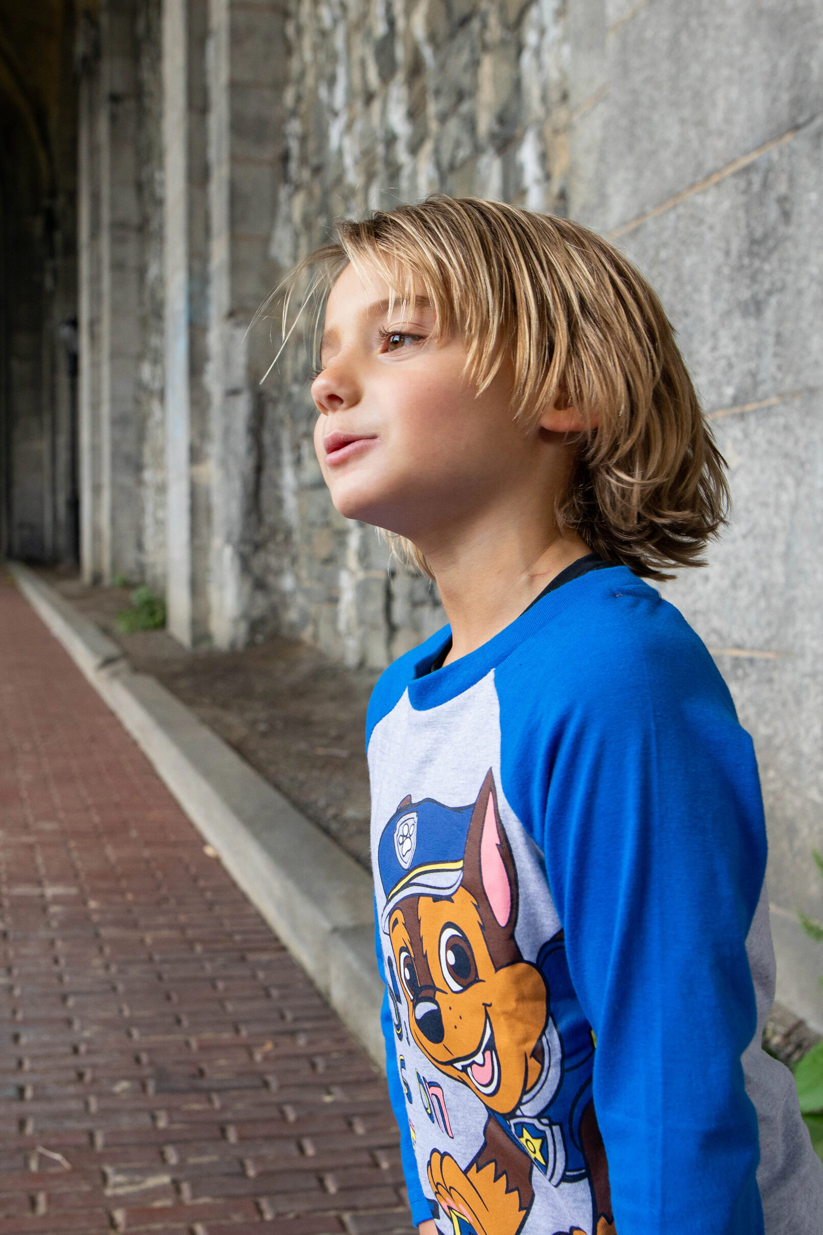 Nickelodeon Paw Patrol Boys' 3-Pack Long Sleeve T-Shirts