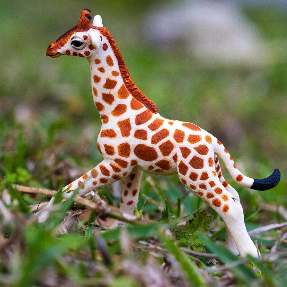 Safari Ltd. - Reticulated Giraffe Baby Kids Toy Figure