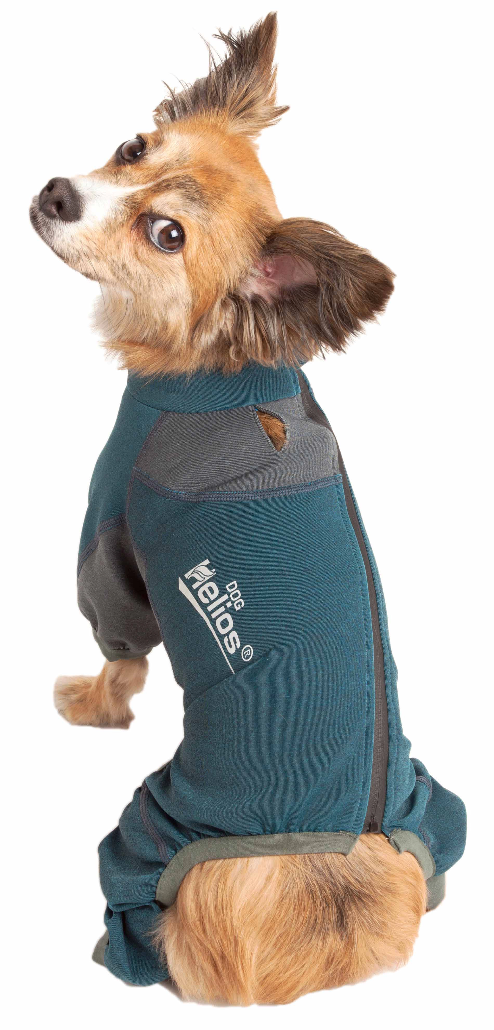 Dog Helios ® 'Rufflex' Mediumweight 4-Way-Stretch Breathable Full Bodied Performance Dog Warmup Track Suit