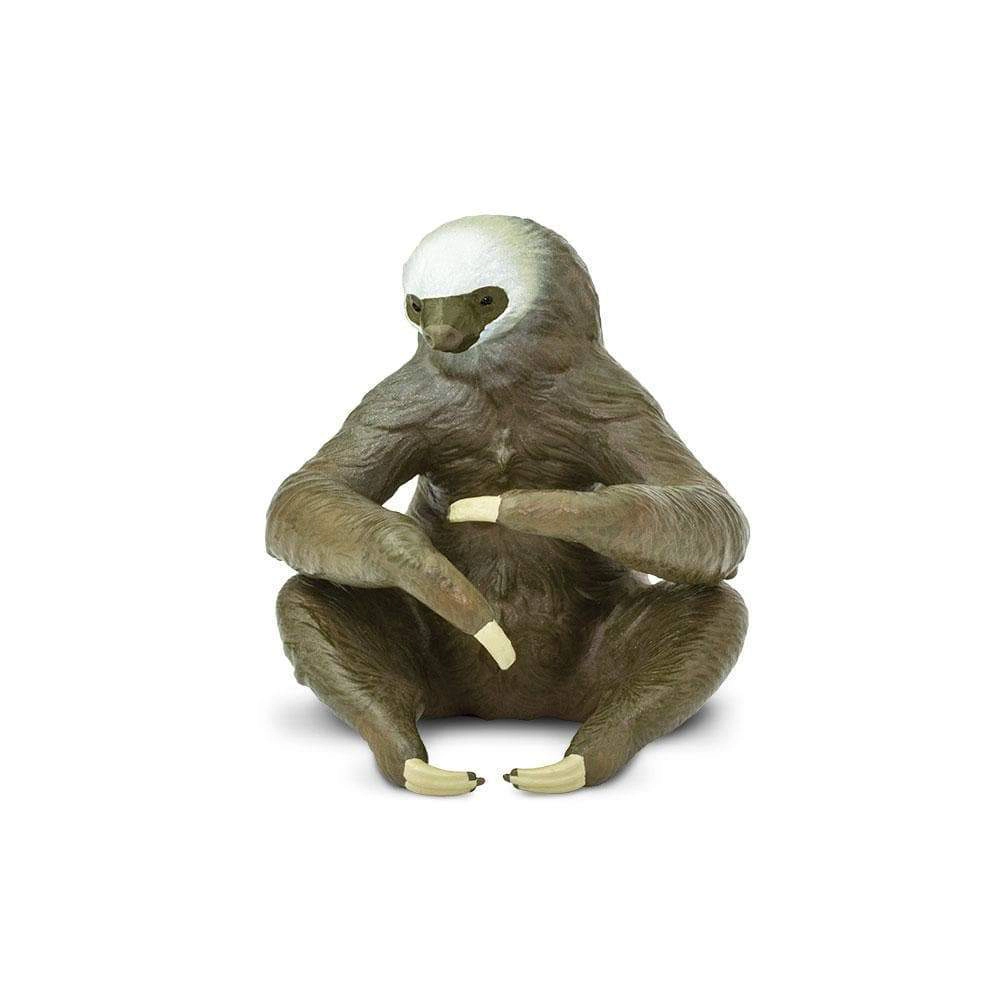 Safari Ltd. - Two-Toed Sloth Kids Toy Figure
