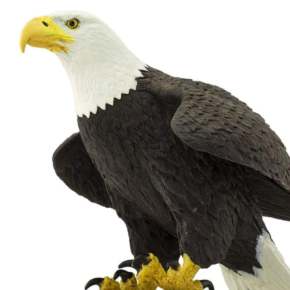 Safari Ltd. - Bald Eagle Kids Toy Figure