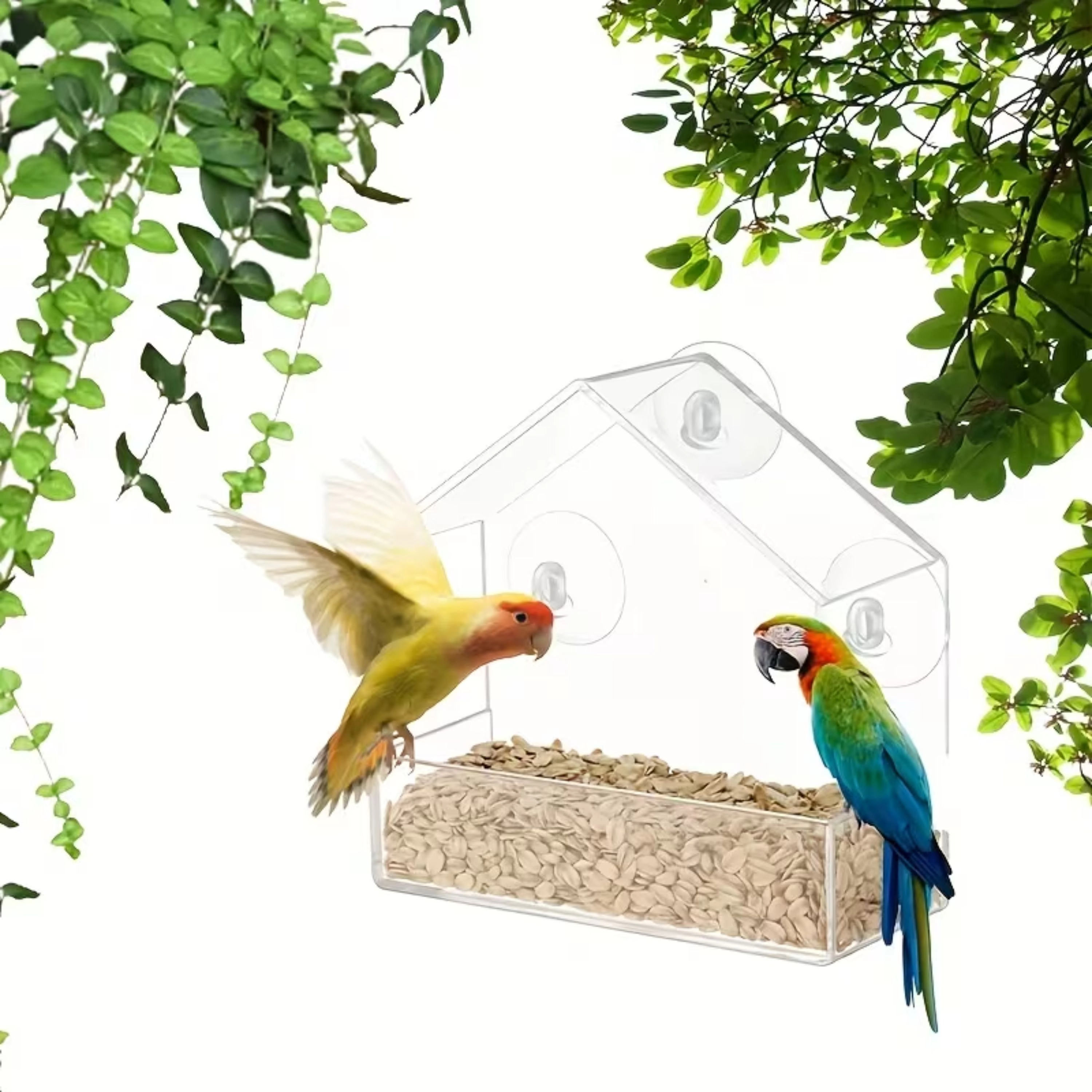 Kitcheniva Acrylic Clear Bird Feeder With Suction Cups