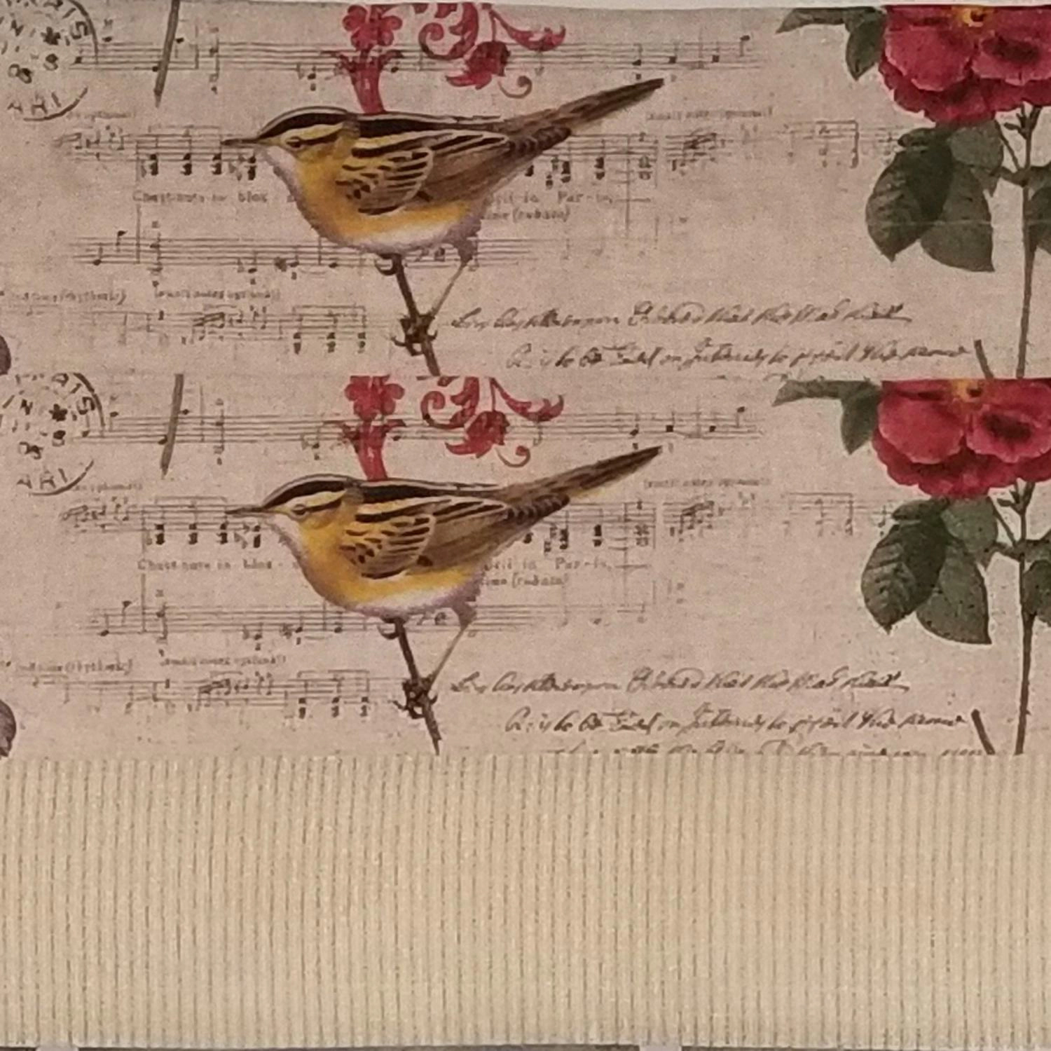 RLF Home Song Bird Banded 100% Cotton with Fully Lined 3" Rod Pocket Valnance for Windows 50" x 15" Beige