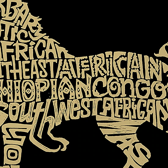 LA Pop Art Men's Lion Word Art T-Shirt, 100% Cotton, Grey