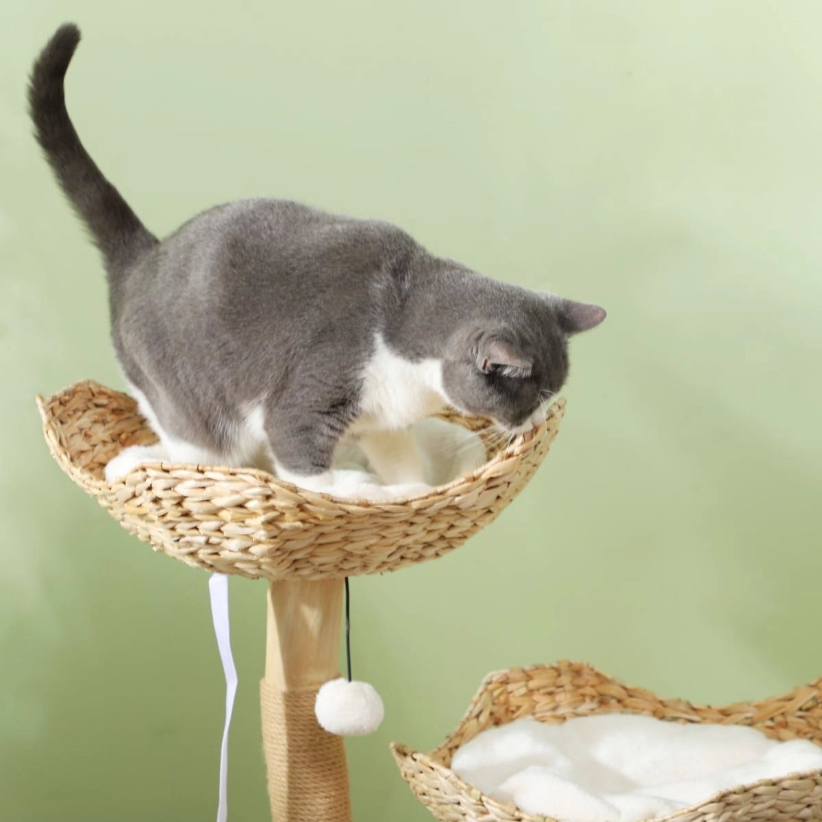 212 Main Paw Hut 37 in. Modern Cat Tree
