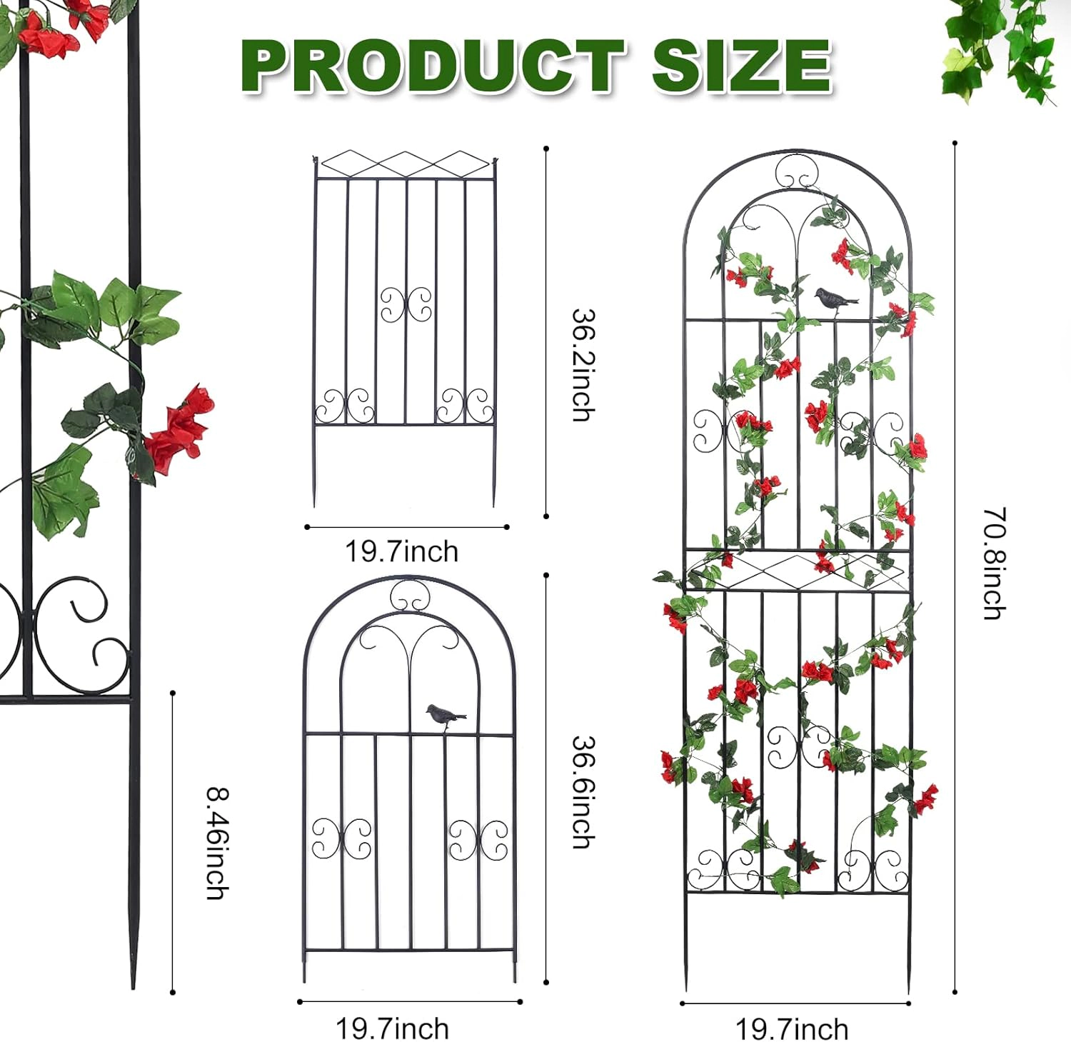 EP Light 70.8" H x 19.7" W Metal Garden Trellis with Black Coating