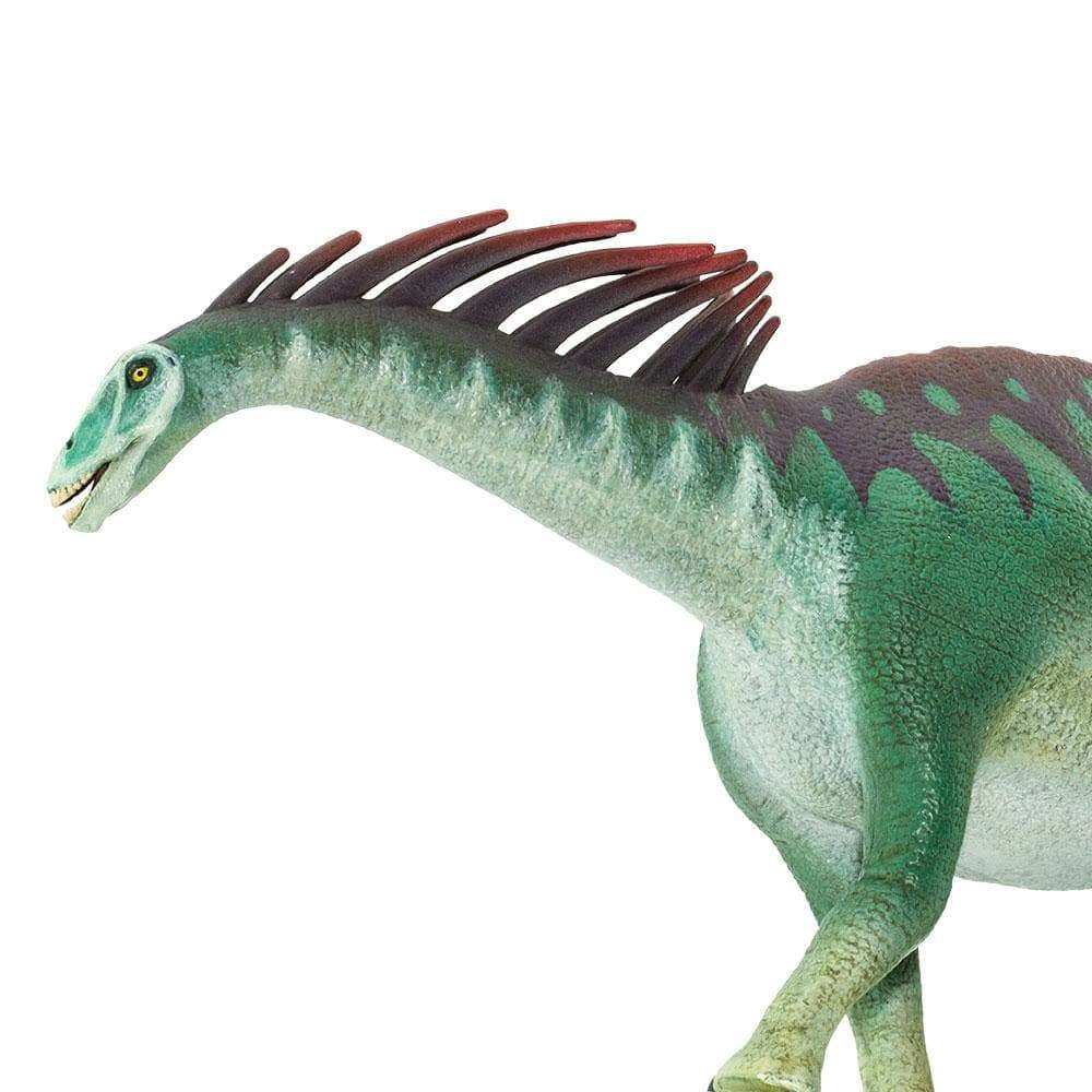 Safari Ltd. - Amargasaurus Kids Prehistoric/Dinosaur Toy Figure