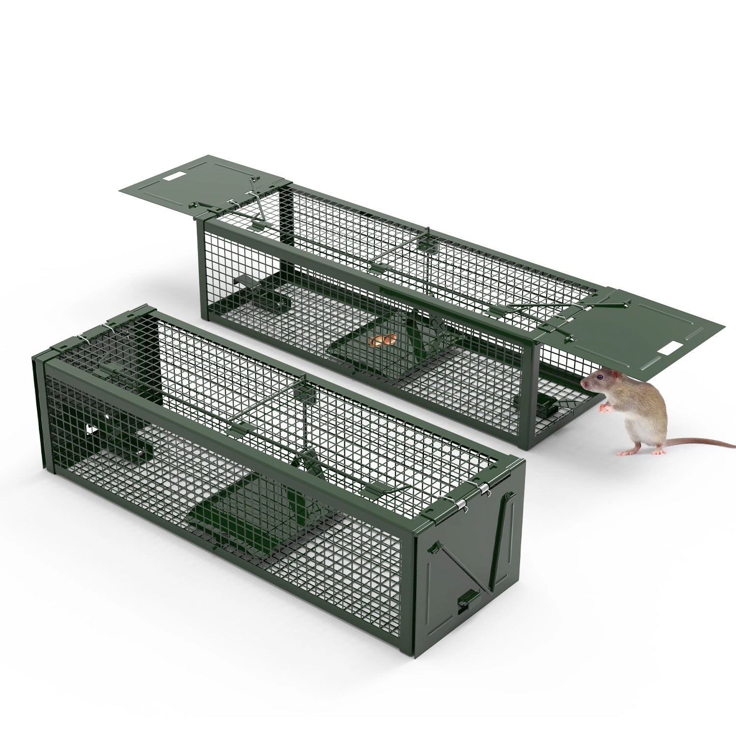 GBruno 2-Pc Dual-Door Live Rat Trap Cage